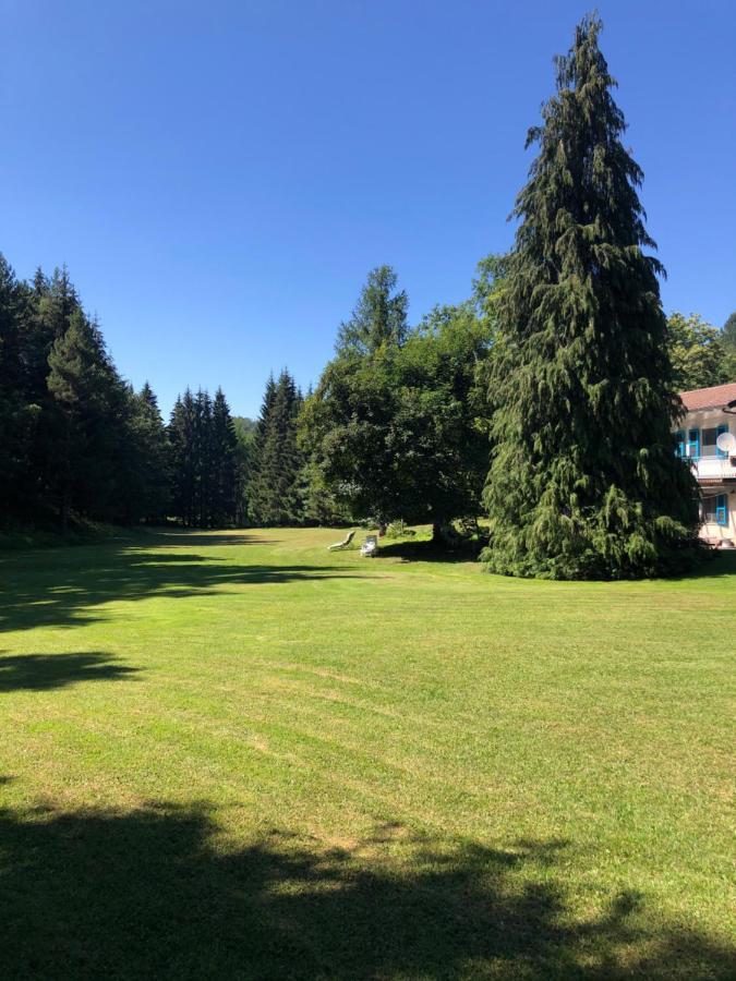Agriturismo La Casa Nel Bosco Boveglio Luaran gambar